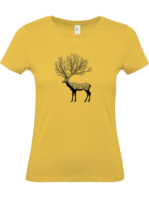 Harry Hirsch - Hartlas